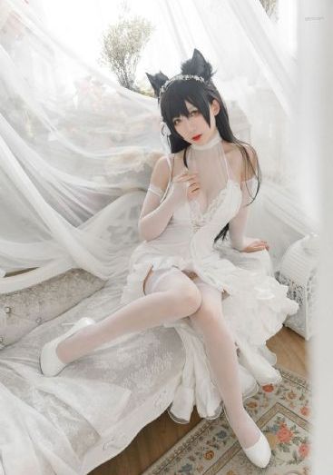 海底小纵队第七季免费观看_超清免费观看电视剧